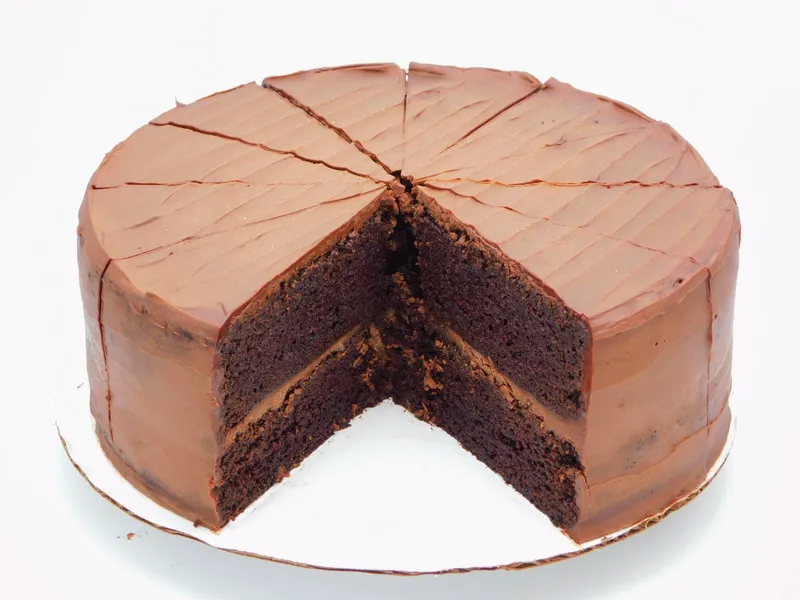 Chocolate Cake — 9 inch cake